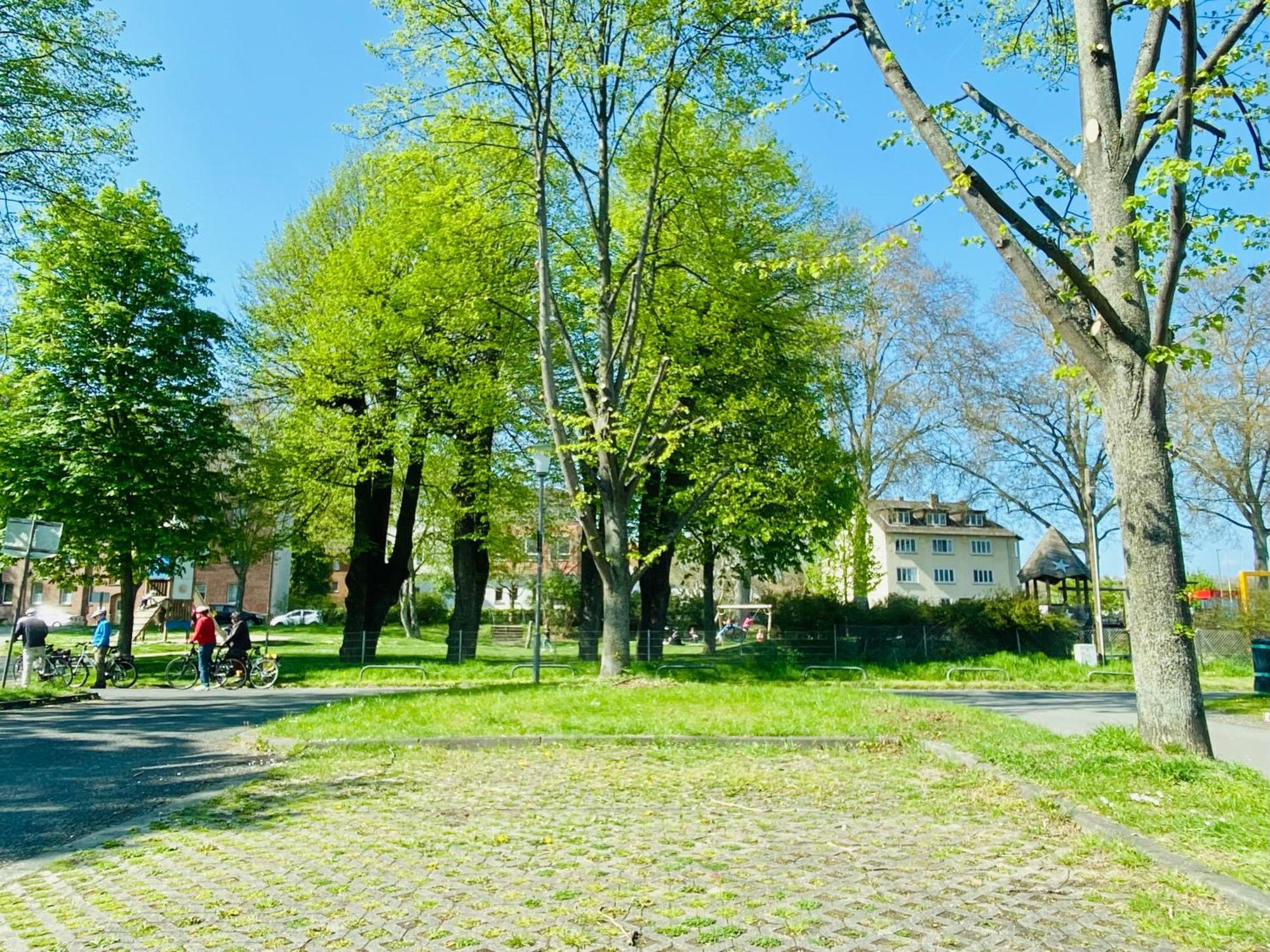 Kassel: Alles, Was Du Brauchst! מראה חיצוני תמונה